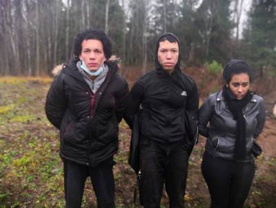 Трое мигрантов пытались незаконно пересечь границу в Выборгском районе