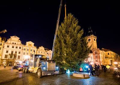 На Староместской площади Праги установили рождественскую ёлку: видео