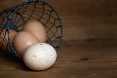 Кандидат медицинских наук Маргарита Королёва назвала яйца необходимым продуктом во время пандемии