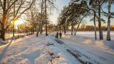 Особо охраняемые природные территории Москвы можно посещать бесплатно