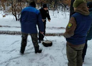 На Луганщине на местах пожаров орудуют "черные лесорубы"