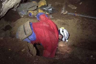 Палеонтологи обнаружили в пещере "Таврида" скелетов новых видов обитателей