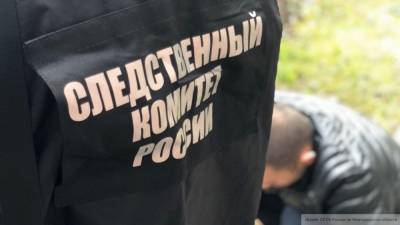 СК начал проверку по факту смерти 7-летней девочки в Тольятти