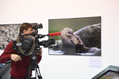 Москва онлайн покажет экскурсию по экспозиции фестиваля дикой природы "Золотая черепаха"