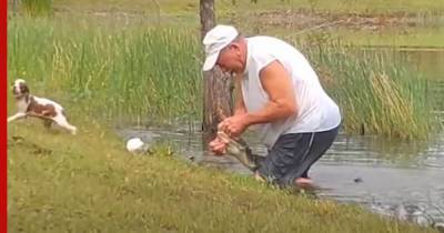 В США 74-летний мужчина спас щенка, вырвав его из пасти аллигатора: видео