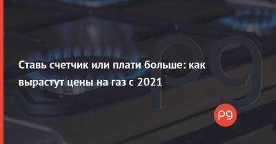 Татьяна Бойко - Ставь счетчик или плати больше: как вырастут цены на газ с 2021 - thepage.ua