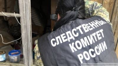 Тело 7-летней девочки с признаками отравления нашли в Тольятти