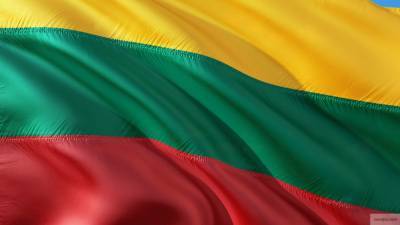 Парламент Литвы утвердил кандидатуру Шимоните на пост премьер-министра