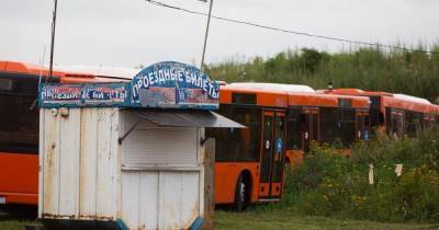 "Калининград-ГорТрансу" планируют купить больше 40 автобусов, работающих на газе