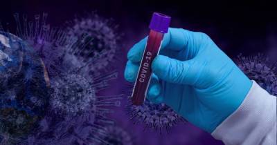 Массовое тестирование на коронавирус: поможет ли оно преодолеть заболевание