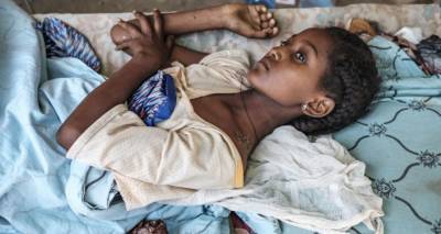 Многочисленные погибшие и тысячи беженцев: что происходит в Эфиопии?