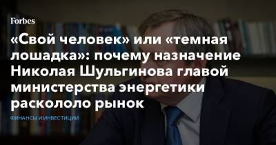 «Свой человек» или «темная лошадка»: почему назначение Николая Шульгинова главой министерства энергетики раскололо рынок