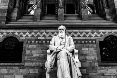 Две рукописи Дарвина пропали из Кембриджского университета