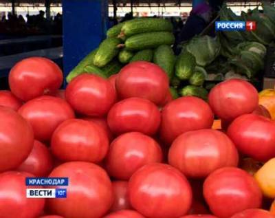 Теплицы Ростовской области постепенно наращивают объем производства овощей