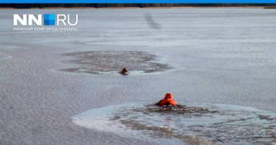 В Выксе спасатель в водолазном костюме вытащил собаку, провалившуюся под лед - nn.ru