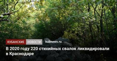 В 2020 году 220 стихийных свалок ликвидировали в Краснодаре