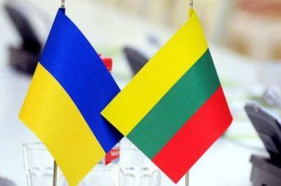 Украина и Литва определились со сроками проведения виртуальной встречи президентов