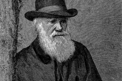 Кражу рукописей Чарльза Дарвина случайно заметили спустя 20 лет