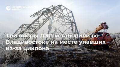 Три опоры ЛЭП установили во Владивостоке на месте упавших из-за циклона