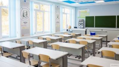Власти Петербурга не планируют массово переводить школы на удаленку