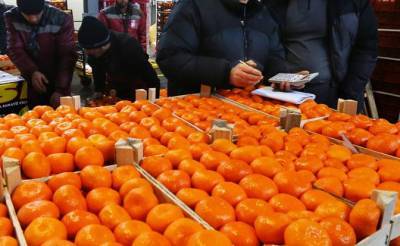 Грузия продолжает экспортировать мандарины
