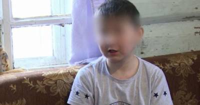 Эксперт объяснил наличие алкоголя в крови сбитого в Башкирии мальчика