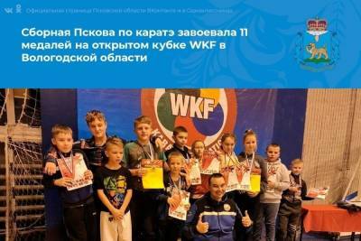 Псковичи завоевали 11 медалей на открытом кубке по каратэ