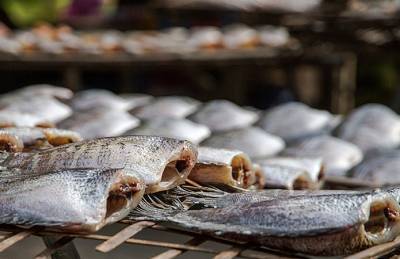 Госрыбагентство: Экспорт рыбы увеличился на 19%