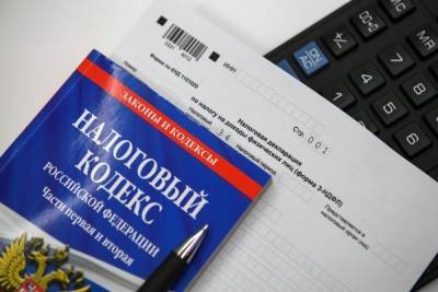 В Совфеде предложили россиянам самим платить НДФЛ