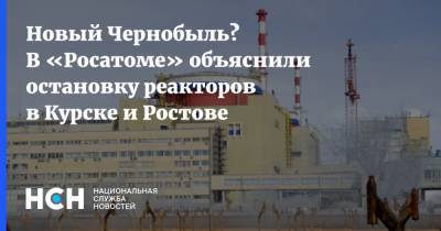 Новый Чернобыль? В «Росатоме» объяснили остановку реакторов в Курске и Ростове