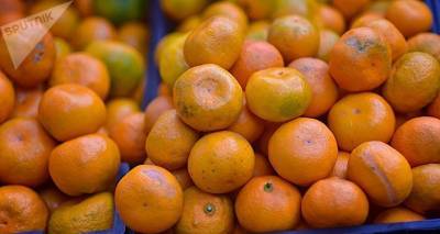 Грузия продолжает экспортировать мандарины в соседние страны