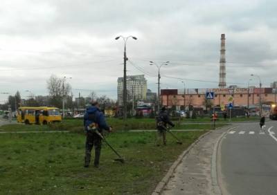 Киевские коммунальщики объяснили, зачем на зиму косят траву: "Это необходимо, чтобы..."