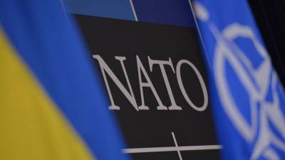 Вступление в НАТО: Украина ожидает получить план действий в новой стратегии Альянса