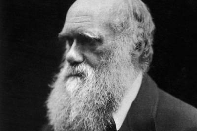 Кембридж заявил о краже рукописей Дарвина через 20 лет после их пропажи