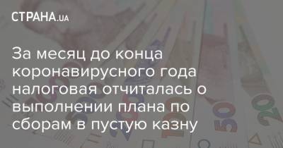 За месяц до конца коронавирусного года налоговая отчиталась о выполнении плана по сборам в пустую казну