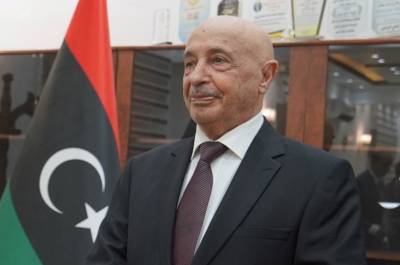 Спикер парламента Ливии прибыл на переговоры в Москву