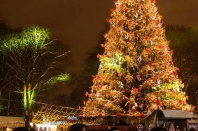 Из-за COVID-19 Новый год в Виннице будут праздновать без главной елки города