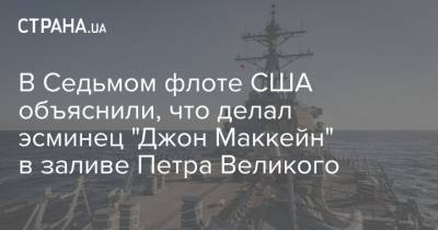 В Седьмом флоте США объяснили, что делал эсминец "Джон Маккейн" в заливе Петра Великого