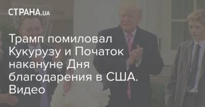 Трамп помиловал Кукурузу и Початок накануне Дня благодарения в США. Видео