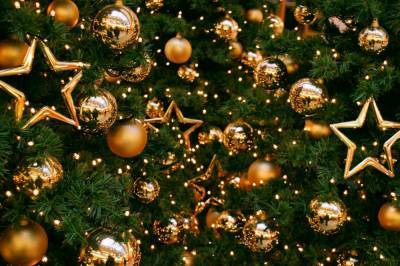 В Виннице власти отказались от елки и решили праздновать Новый год онлайн