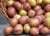 Беларусь выбыла из первой десятки производителей картофеля в мире