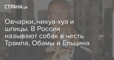 Овчарки, чихуа-хуа и шпицы. В России называют собак в честь Трампа, Обамы и Ельцина