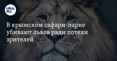 В крымском сафари-парке убивают львов ради потехи зрителей