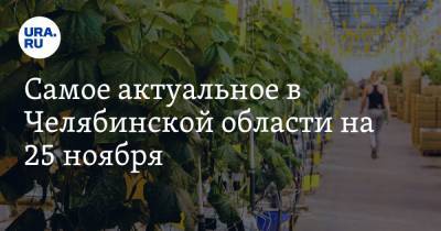 Самое актуальное в Челябинской области на 25 ноября. Агрокомплекс обанкротят, рестораны ввели ограничения из-за коронавируса