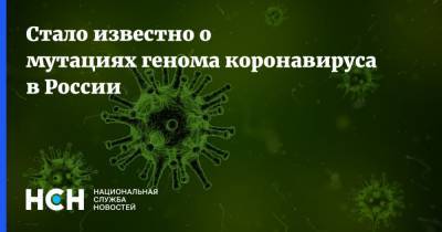 Стало известно о мутациях генома коронавируса в России