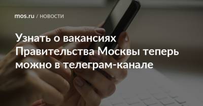 Узнать о вакансиях Правительства Москвы теперь можно в телеграм-канале