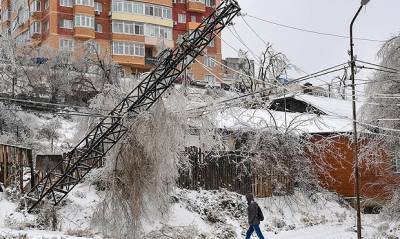 Москва выделила Приморью 700 млн рублей на ликвидацию последствий ледяного дождя