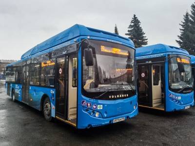 Перевозчик из Санкт-Петербурга прокомментировал ситуацию с автобусами в Новокузнецке