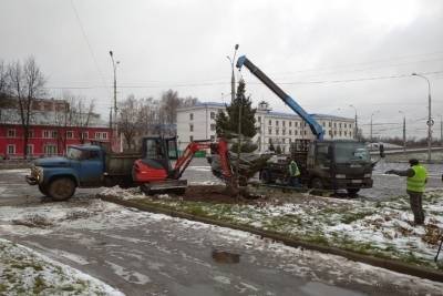 Дорого или выгодно...: в Рыбинске потратили 200 тысяч на елку