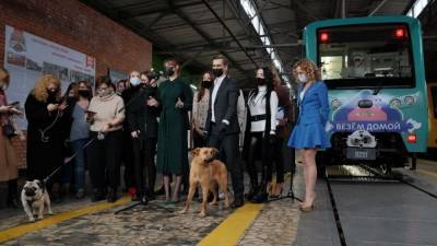 Поезд «Хвосты и лапки» помогает пристроить бездомных животных